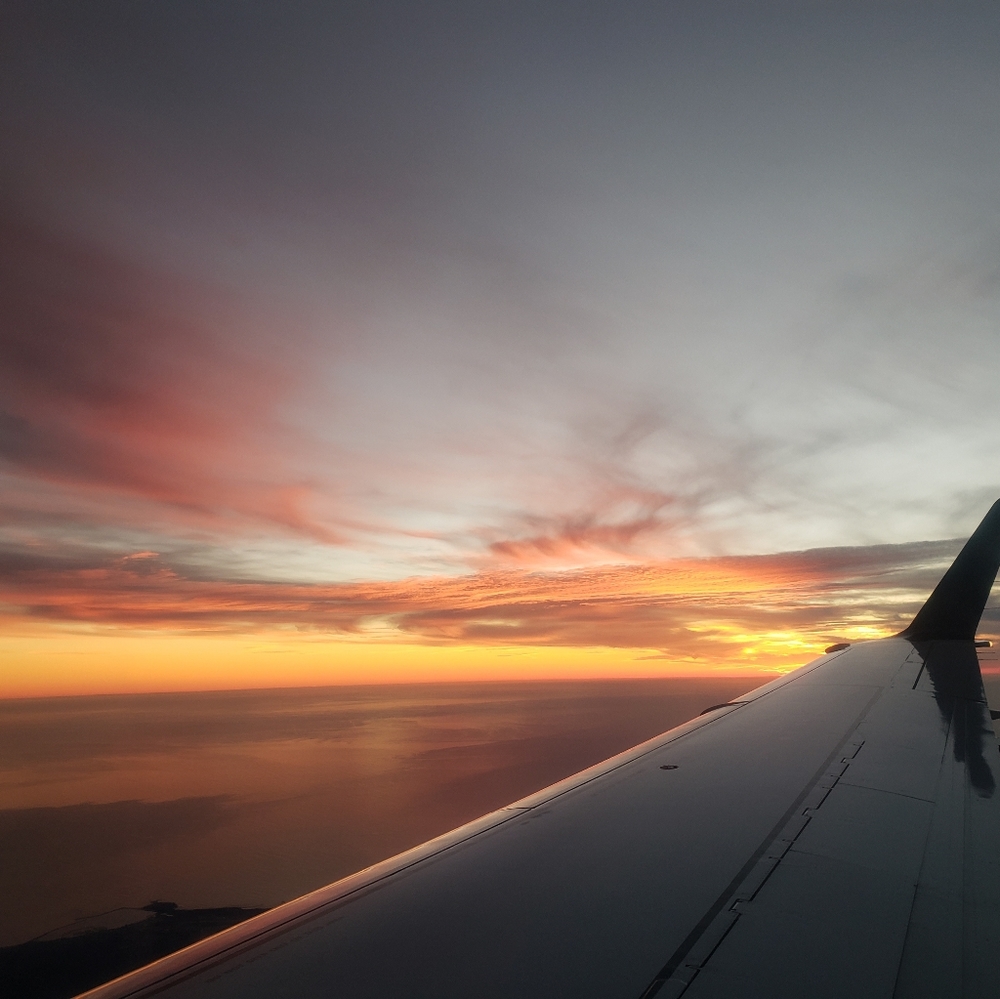 Meet your Posher, Irina